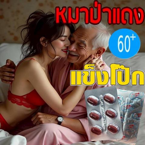 หมาป่าแดง 60+
